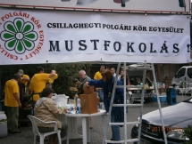 2011 Mustfokolas a piacon