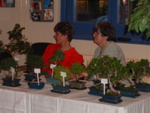 2004 Bonsai kiállítás